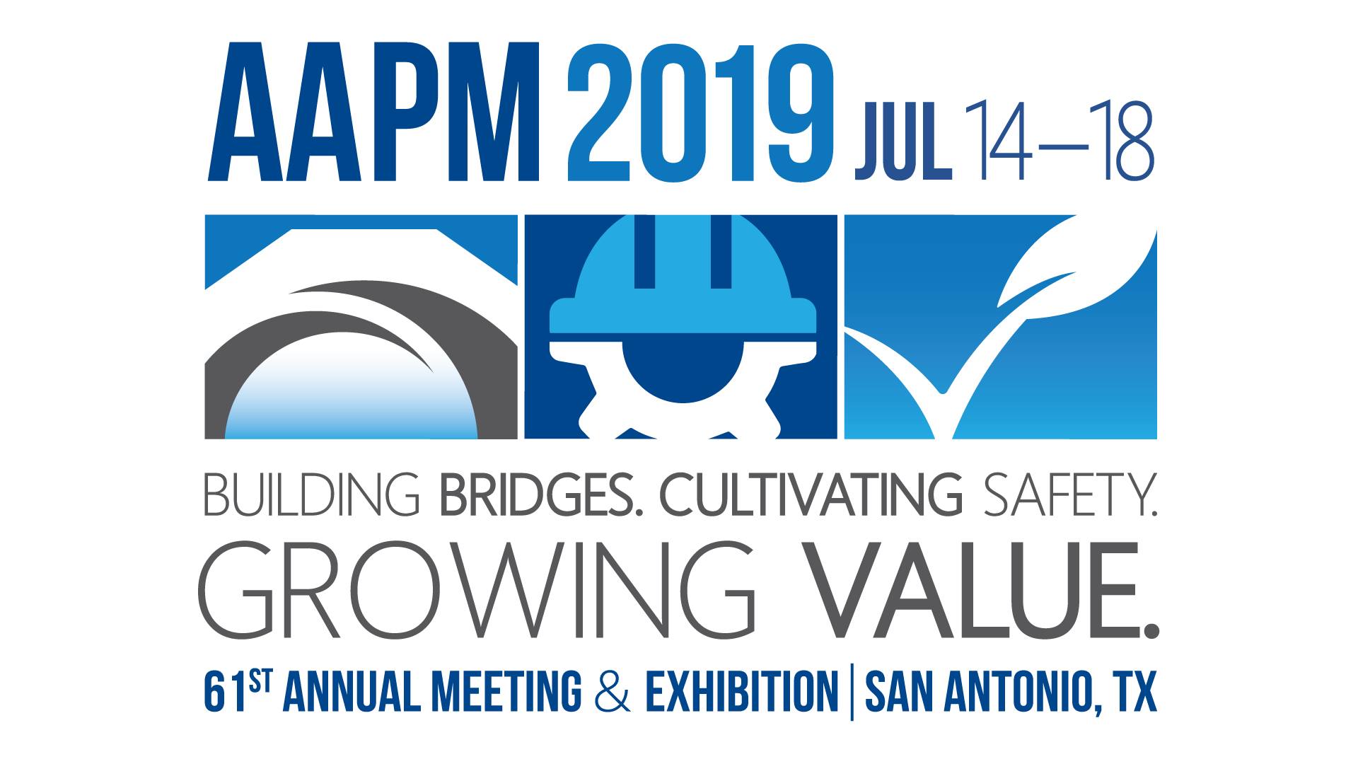 AAPM Meeting at San Antonio, USA Financial support to AMPI Life